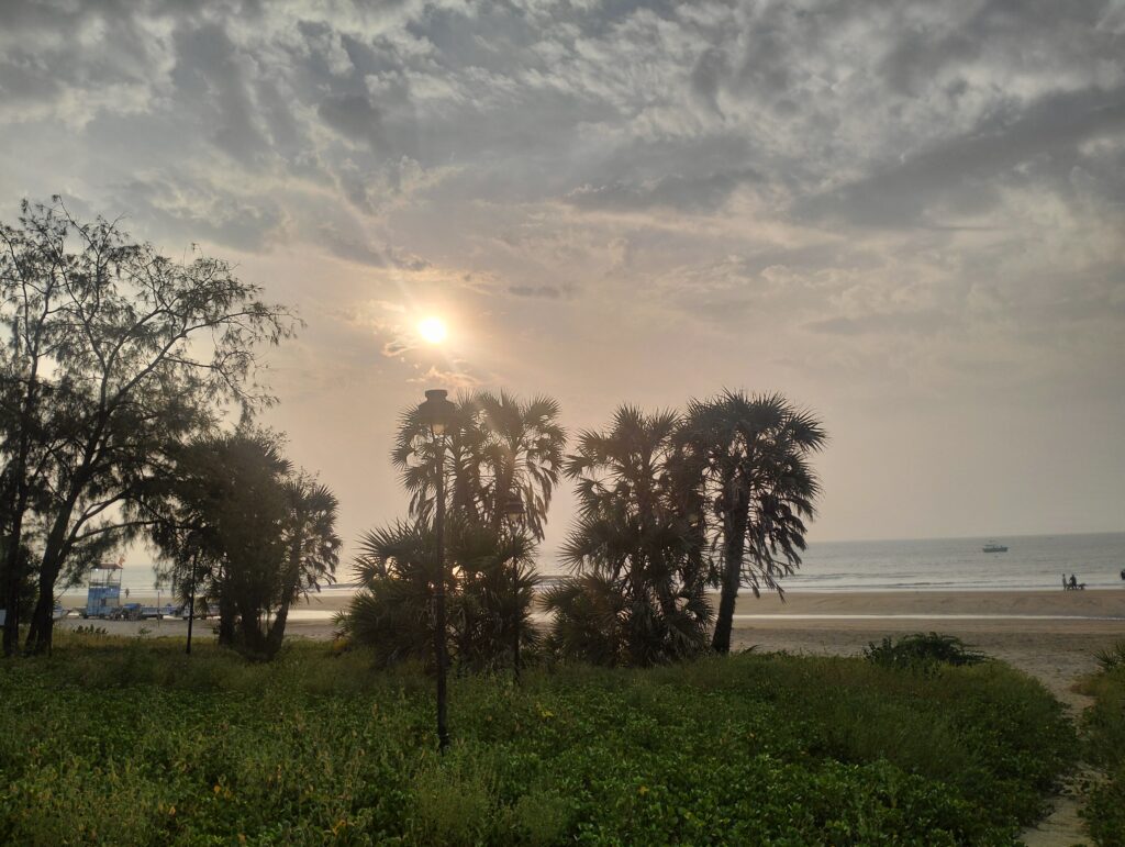 A green lush beach view with sun rising