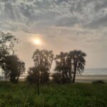 A green lush beach view with sun rising