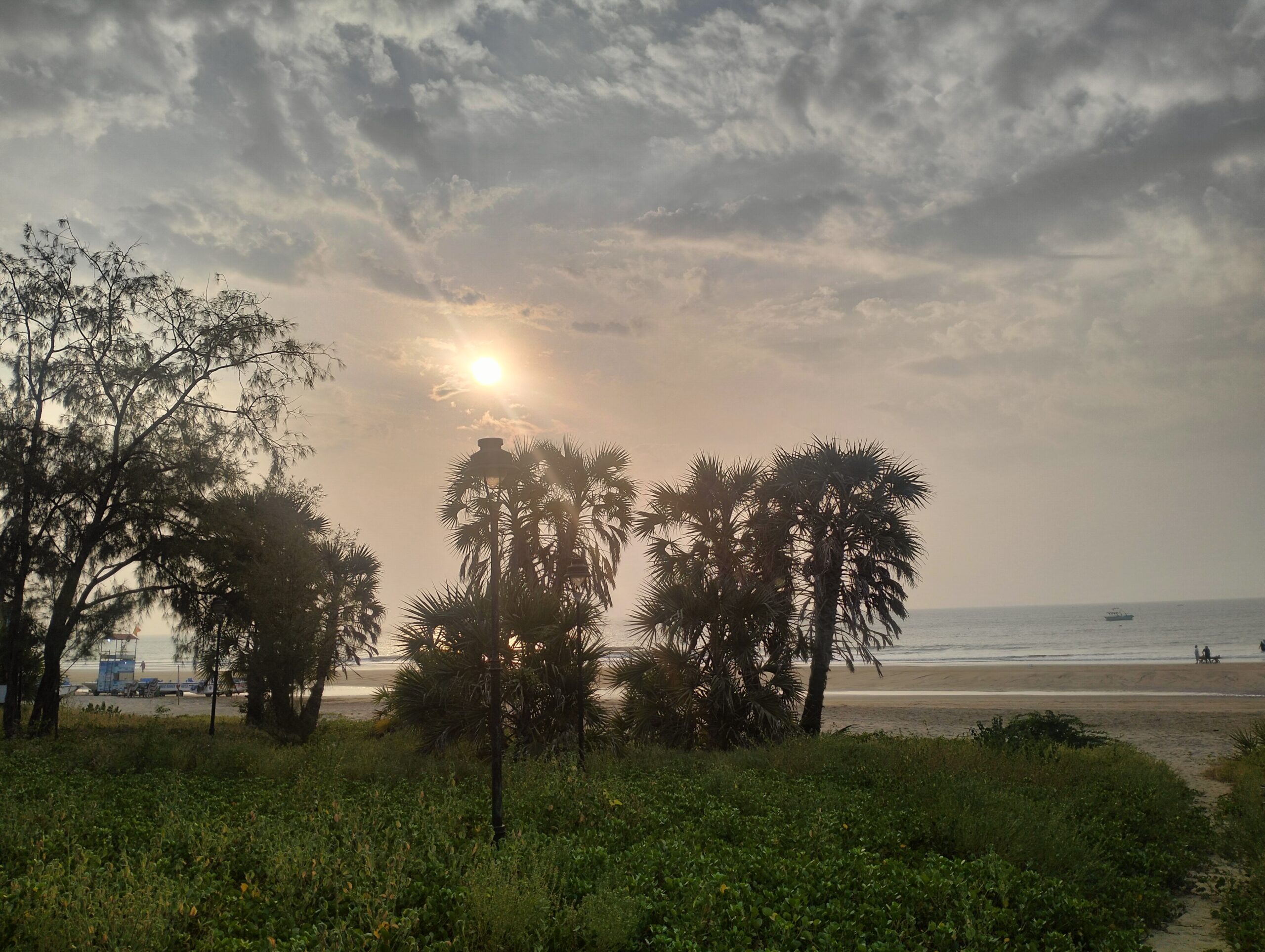 A green lush beach view with sun rising