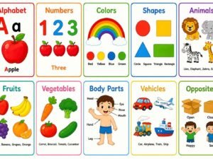 toddler learning flashcards